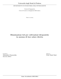 Documento PDF