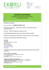 MSDS - GASBETON ENERGY 300