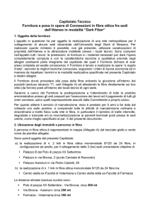 Capitolato Tecnico Fornitura e posa in opera di Connessioni in fibra