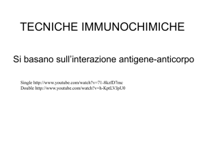 TECNICHE IMMUNOCHIMICHE