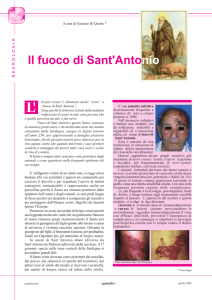 Il fuoco di Sant`Antonio