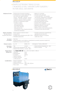 gruppo elettrogeno trifase (15 kva)
