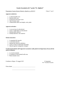 3C PROGRAMMA D`ESAME CASTELNUOVO_scienzemotorie