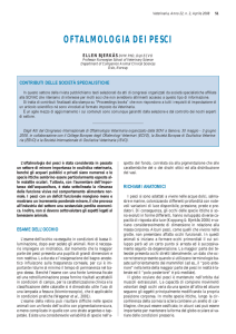 oftalmologia dei pesci