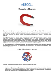 Calamita o Magnete