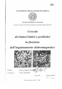 Tesi Donà - Unipd