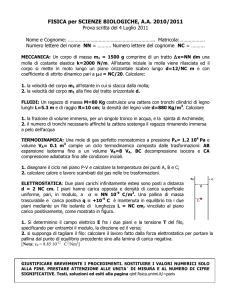 Testo e soluzione