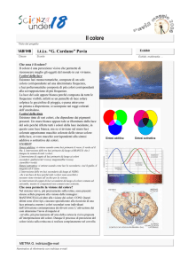 cardano colori - Istituto Maserati