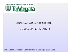 Diapositive lezioni 1