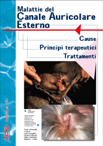 Testo e fotografie a cura di Luisa Cornegliani, Giovanni Ghibaudo
