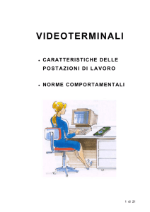 lavoro al videoterminale