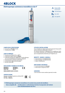 scheda tecnica