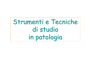 Strumenti e Tecniche di studio in patologia