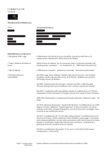 curriculum vitae