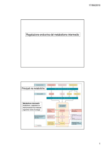 4. Metabolismo glucosio