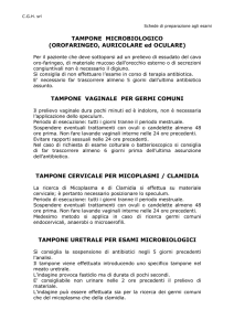 TAMPONE MICROBIOLOGICO (OROFARINGEO, AURICOLARE ed