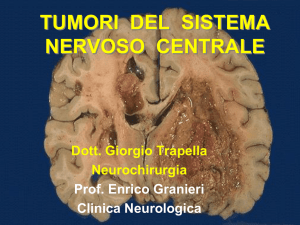 Presentazione di PowerPoint