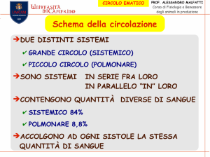 Schema della circolazione