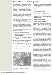 Le malattie da accumulo di glicogeno