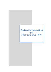 PPV - Strateco
