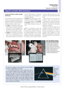 Aspetti cromatici della dentatura