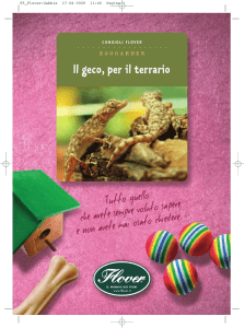 Il geco, per il terrario