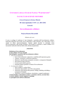Invecchiamento cellulare