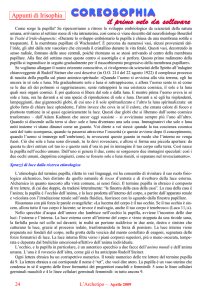 Appunti di Irisophia