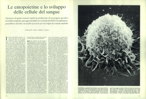 Le emopoietine e lo sviluppo delle cellule del sangue