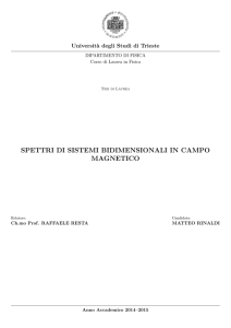 SPETTRI DI SISTEMI BIDIMENSIONALI IN CAMPO MAGNETICO
