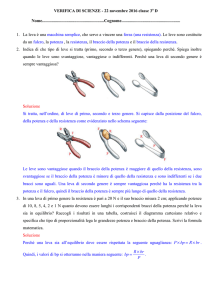 Verifica di scienze 3 a D