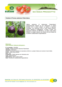 Violetta di Firenze selezione Palermitana