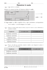Riduzione in scala