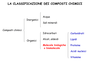 I Carboidrati