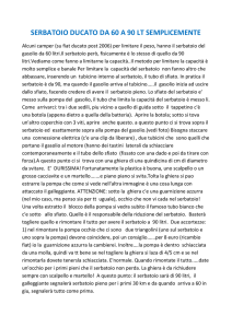 serbatoio ducato da 60 a 90 lt semplicemente