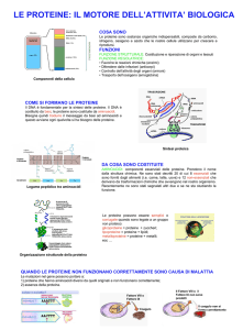 le proteine