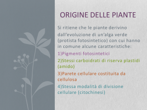 biologia vegetale1 a