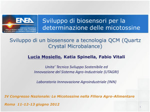 Sviluppo Biosensori determinazione micotossine_Mosiello
