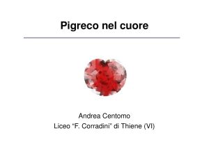 Pigreco nel cuore - Politecnico di Torino