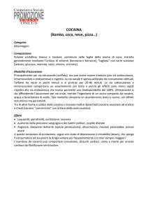 COCAINA (Bamba, coca, neve, pizza…)