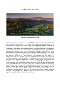 La Selva Boema - Caccia in Repubblica Ceca