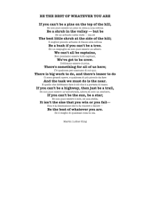 BE THE BEST OF WHATEVER YOU ARE