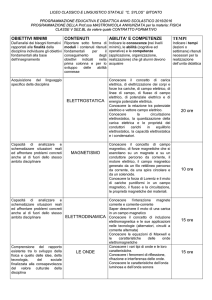 OBIETTIVI MINIMI CONTENUTI ABILITA` E COMPETENZE TEMPI