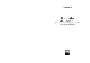 Il mondo dei delfini