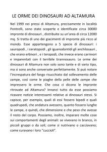 leggi la descrizione completa del lavoro
