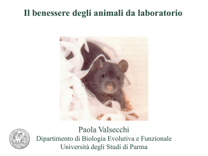 Il benessere degli animali da laboratorio