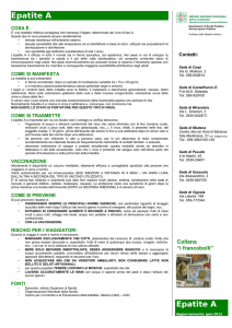 Epatite A