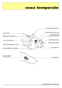 osso temporale - Area Radiologica