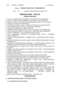 programmi svolti