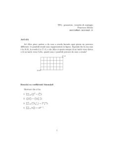 TFA - geometria - tecniche di conteggio Francesca Merola merola